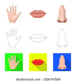Vector illustration of human and part sign. Set of human and woman stock vector illustration.