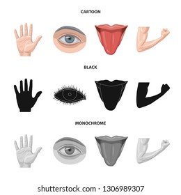 Vector illustration of human and part sign. Collection of human and woman vector icon for stock.