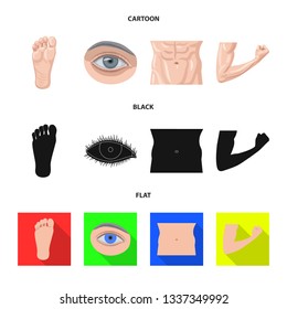 Vector illustration of human and part sign. Set of human and woman stock vector illustration.