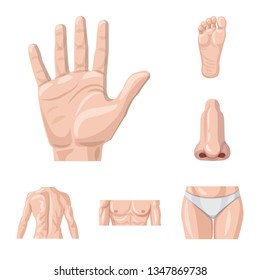 Vector illustration of human and part sign. Set of human and woman vector icon for stock.