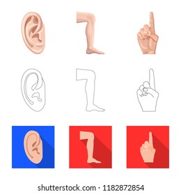 Vector illustration of human and part symbol. Collection of human and woman vector icon for stock.
