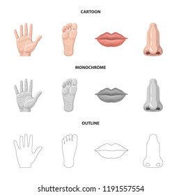 Vector illustration of human and part symbol. Set of human and woman vector icon for stock.