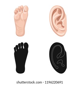 Vector illustration of human and part symbol. Collection of human and woman stock vector illustration.