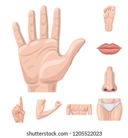 Vector illustration of human and part symbol. Set of human and woman stock symbol for web.