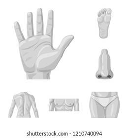 Vector illustration of human and part symbol. Set of human and woman stock vector illustration.