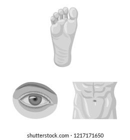 Vector illustration of human and part symbol. Set of human and woman stock vector illustration.