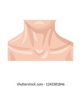 Vector illustration of human and part symbol. Set of human and woman stock vector illustration.