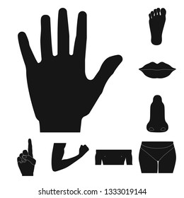 Vector illustration of human and part symbol. Set of human and woman stock symbol for web.