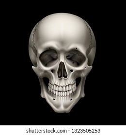 Vector illustration of human realistic skull front view isolated on black background