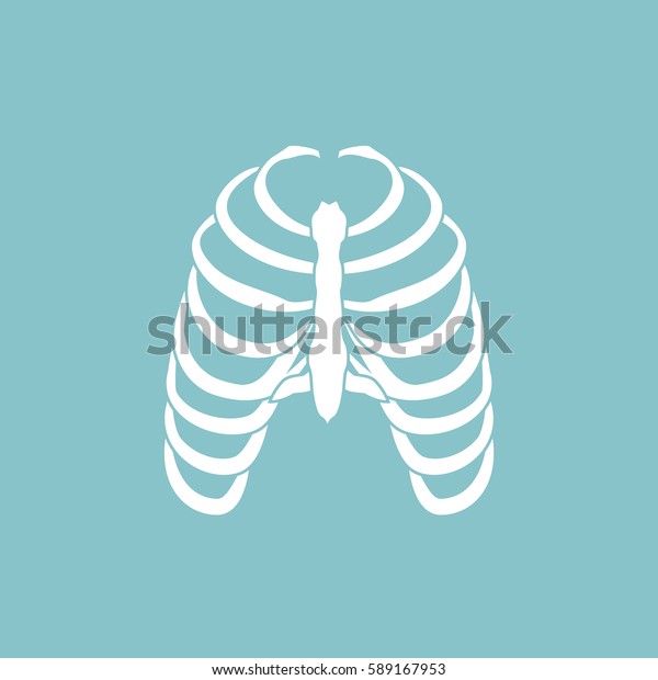 Vector illustration human ribs cage symbol.\
Thoracic bones icon.