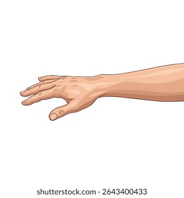 Vector illustration of human right hand on white background