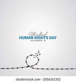 vector illustration, Human Rights Day, barbed wire broken with birds idea, design for banner,greeting card, poster