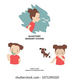 Vector Illustration Of Human Senses. Olfactory Sensory System: Ability To Smell Pleasant And Unpleasant Odors.