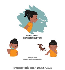 Vector Illustration Of Human Senses. Olfactory Sensory System: Ability To Smell Pleasant And Unpleasant Odors.