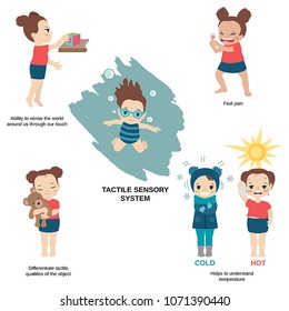 Vector illustration of human senses. Tactile sensory system: ability to sense the world around us through our touch, helps to understand temperature.