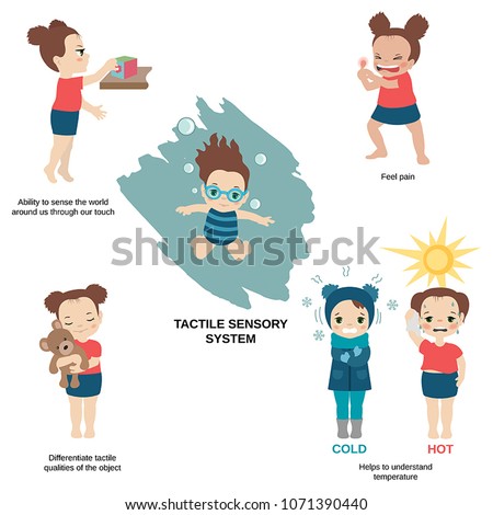 Vector illustration of human senses. Tactile sensory system: ability to sense the world around us through our touch, helps to understand temperature.