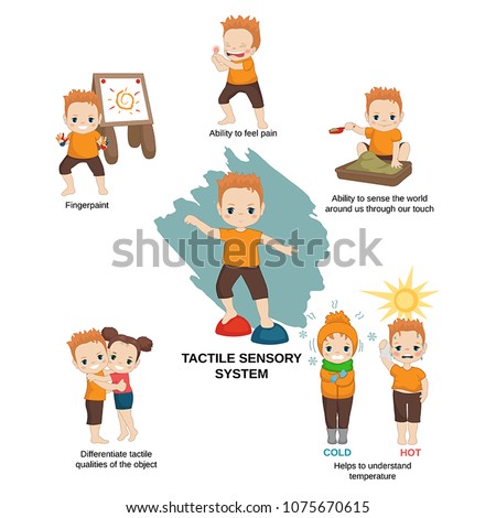 Vector illustration of human senses. Tactile sensory system: ability to sense the world around us through our touch, helps to understand temperature.