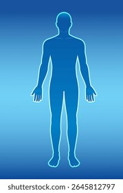 Vector illustration of a human silhouette with a blue gradient background, highlighting anatomical form and symmetry
