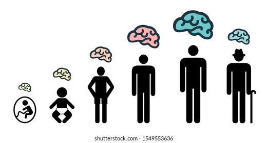 vector illustration of human silhouette different age state and brain growth dynamics 