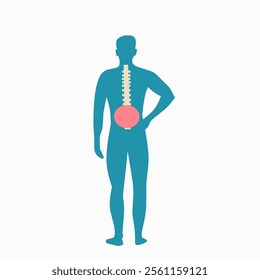 Vector illustration of a human silhouette highlighting the spine and lower back area in vibrant colors, representing back pain, medical concepts, or anatomy studies