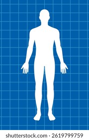 Vector illustration of a human silhouette on a blue grid background, emphasizing anatomical study and technical precision