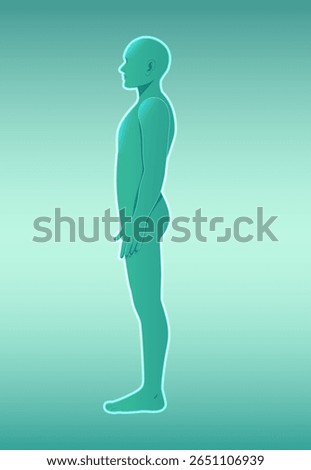 Vector illustration of a human silhouette in profile with a gradient background, highlighting anatomical form and simplicity