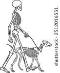 vector illustration of a human skeleton walking a skeleton dog
