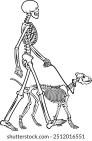 vector illustration of a human skeleton walking a skeleton dog
