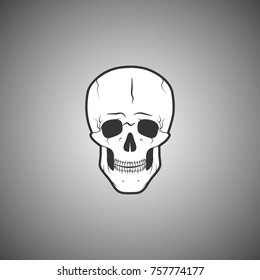Vector Illustration of a human skull.