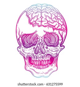 Vector illustration with a human skull and brains. Gothic brutal skull. For print t-shirts or book coloring.