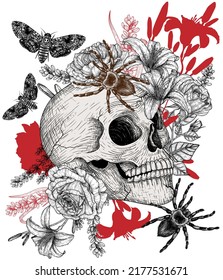 Vector illustration of a human skull in colors, with spiders and moths in an engraving style