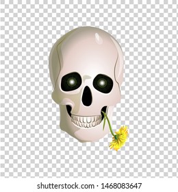 Vector illustration of a human skull. Drawing of a human skull with dandelion.