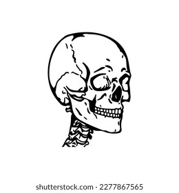  vector illustration of human skull head