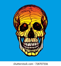 Vector illustration of human skull with a lower jaw in ink hand drawn style.
