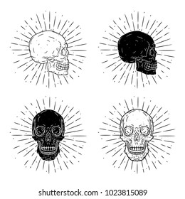 Vector illustration with human skull  on blackboard. Used for poster, banner, t-shirt print, bag print, badges and logo design. Vector skull set
