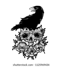 Vector illustration with a human skull, raven and flowers. Gothic brutal skull. For print t-shirts or book coloring.