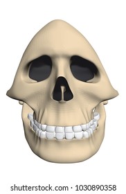 Vector illustration of a human skull of unusual shape. Cartoon style. 3D.
