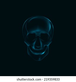 vector illustration of a human  skull x-ray print. medical concept