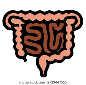 Ilustración vectorial del intestino Pequeño humano para el diseño médico y educativo de la salud