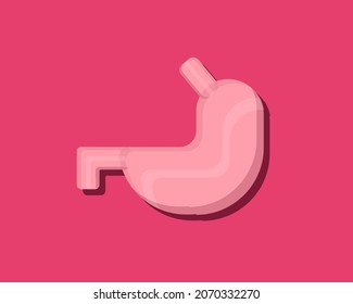 vector illustration of a human stomach in flat design style