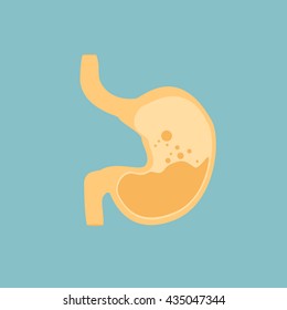 Vector illustration human stomach isolated on blue background. Stomach icon flat design. Digestion