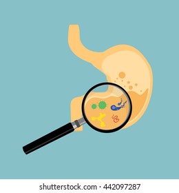 Vector illustration human stomach with viruses and bacteria isolated on blue background. Stomach icon flat design. Digestion. Magnifier glass