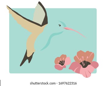 Dibujo vectorial de un pájaro que zumba sobre un hibisco