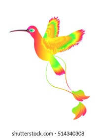 Vector illustration of humming bird with rainbow colored plumage, isolated on white for your design 