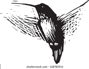 Vector illustration of a hummingbird