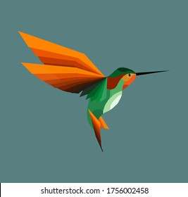 vector illustration of a Hummingbird in flight, small bird, multicolored