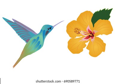vector illustration of hummingbird and flowers
