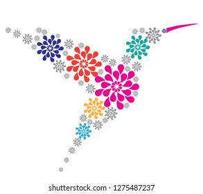 vector illustration of a hummingbird isolated on white background.