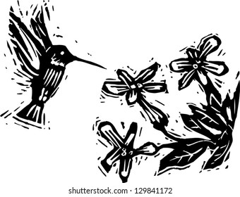 Vector illustration of hummingbird pollinating flowers