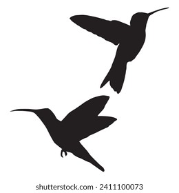 Vector Illustration of Hummingbird Silhouette